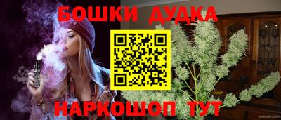 стафф Лесосибирск